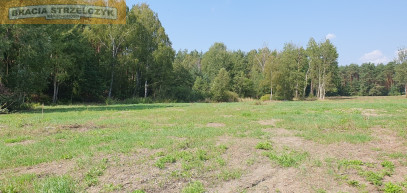 Działka Sprzedaż Dąbrówka